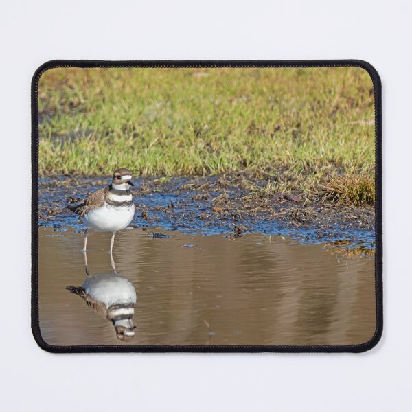 Item preview, Killdeer front view with reflection designed and sold by lisavonbiela.