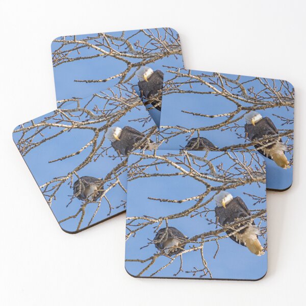 Item preview, Bald Eagle with mate looking down from tree designed and sold by lisavonbiela.