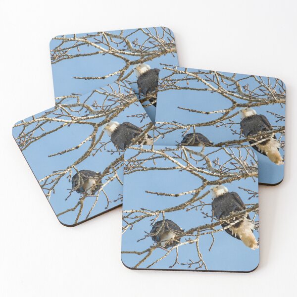 Item preview, Bald Eagle looking down from tree designed and sold by lisavonbiela.