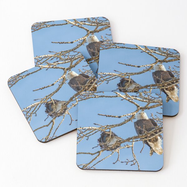 Item preview, Bald Eagle looking down, both eyes visible designed and sold by lisavonbiela.