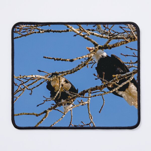 Item preview, Bald Eagle vocalizing to his mate designed and sold by lisavonbiela.