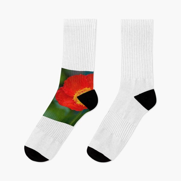 Item preview, Red hot Poppy designed and sold by zzsuzsa.