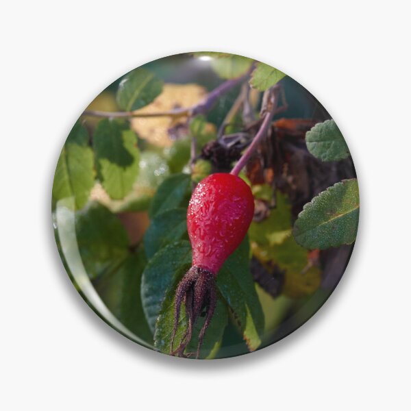 Item preview, Green Leaves Surround a Red Rose Hip designed and sold by couragesings.