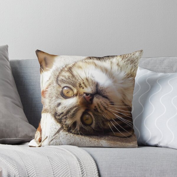 Item preview, DUH! designed and sold by WildestArt.