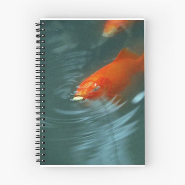Item preview, One Fish Two Fish designed and sold by sermelis.