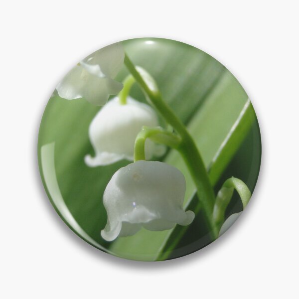 Good Morning Lili Pin