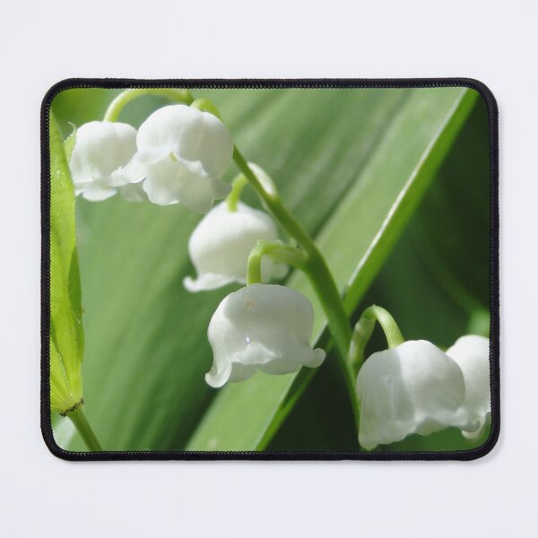 Item preview, Good Morning Lili designed and sold by sermelis.