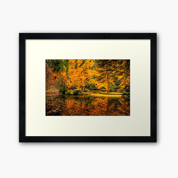 Item preview, Reflections on the lake at Alfred Nicholas Gardens designed and sold by Elana Bailey.