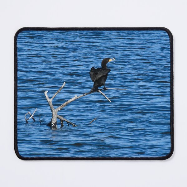 Item preview, Double Crested Cormorant by the River designed and sold by richardbryce.