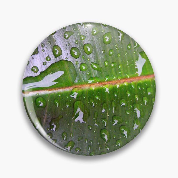 Item preview, Wet designed and sold by sermelis.