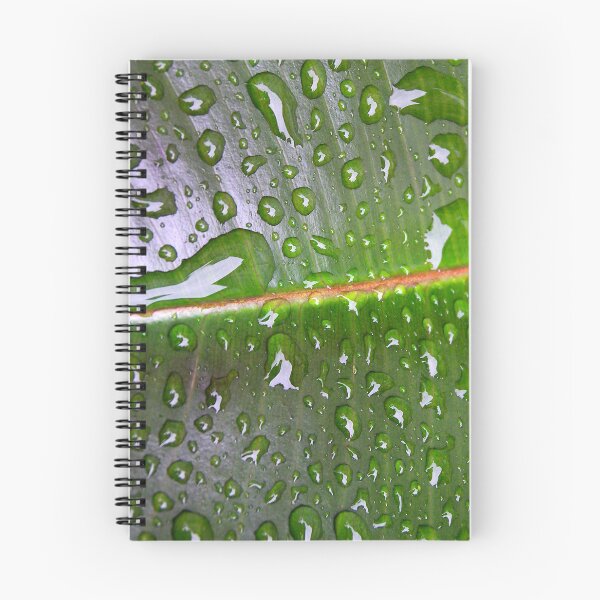 Item preview, Wet designed and sold by sermelis.