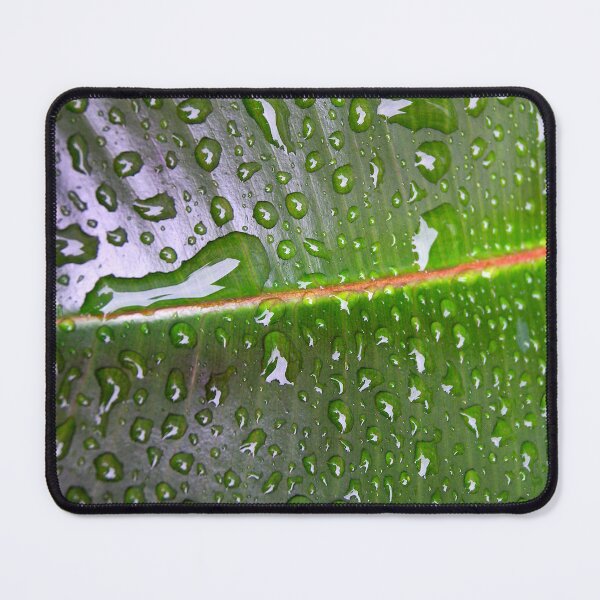 Item preview, Wet designed and sold by sermelis.