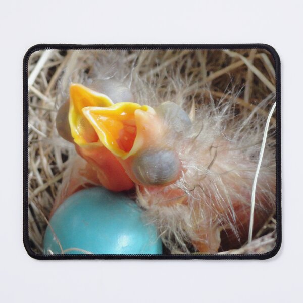 Item preview, The Spring Song designed and sold by sermelis.