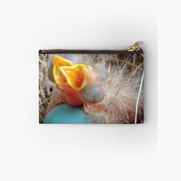 Item preview, The Spring Song designed and sold by sermelis.