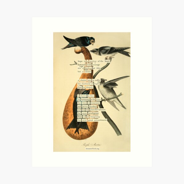 Item preview, Bird Divination: Purple Martin (almanacofbirds.org) designed and sold by mariapopova.