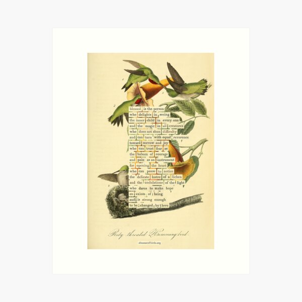 Item preview, Bird Divination: Ruby-throated Hummingbird (almanacofbirds.org) designed and sold by mariapopova.