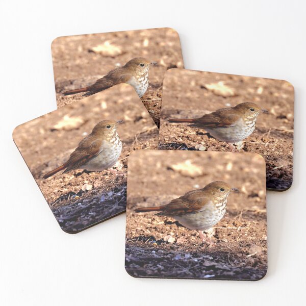 Item preview, Hermit thrush  designed and sold by Parks and X.