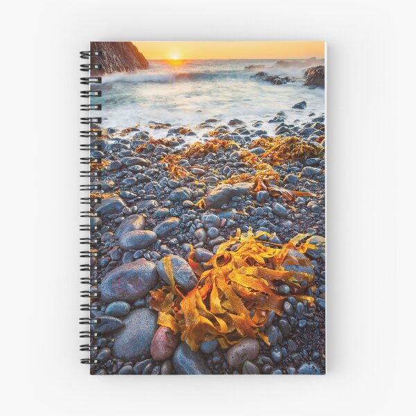 Item preview, Cape Schank, Mornington Peninsula, Australia designed and sold by Michael Boniwell.