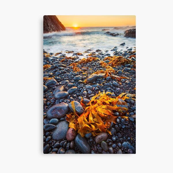 Cape Schank, Mornington Peninsula, Australia Canvas Print