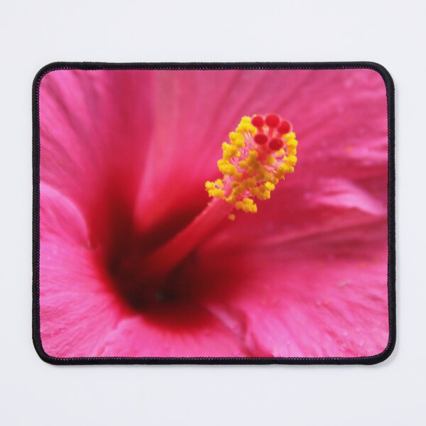 Item preview, Hibiscus Stamen Ready to Reproduce designed and sold by heatherfriedman.