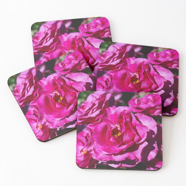 Item preview, A New Day Pink Roses designed and sold by Joy Watson - Natural Light Photography .