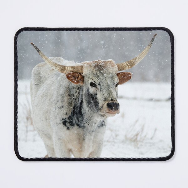 Item preview, Winter Longhorn designed and sold by DawsonImages.