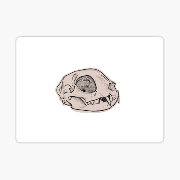 Item preview, Cat skull designed and sold by Mofitzen.