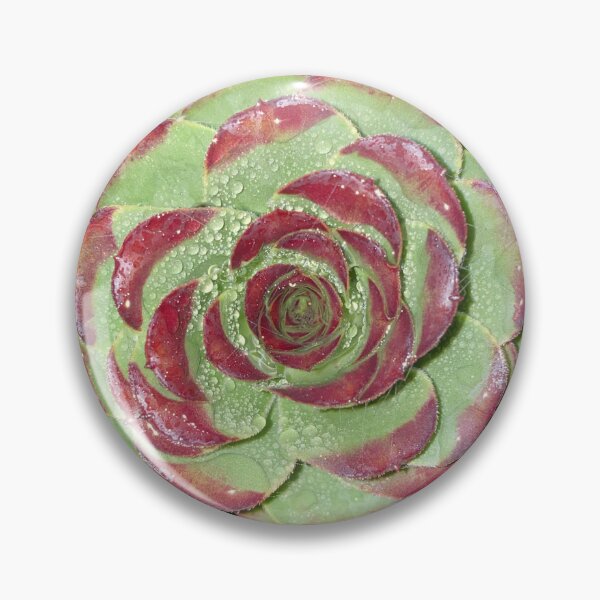 Item preview, Succulent designed and sold by SucculentLovers.