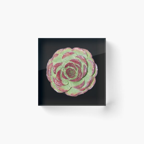 Item preview, Succulent designed and sold by SucculentLovers.