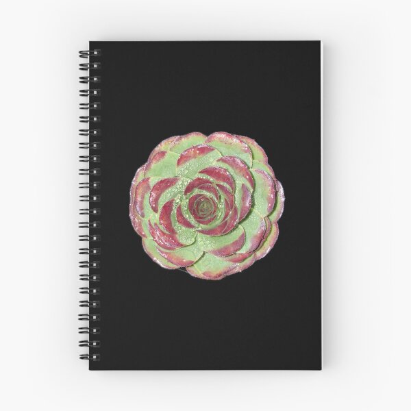Item preview, Succulent designed and sold by SucculentLovers.