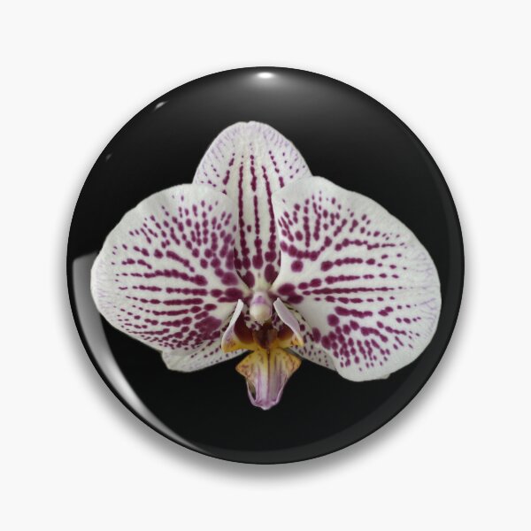 Item preview, Orchid designed and sold by SucculentLovers.
