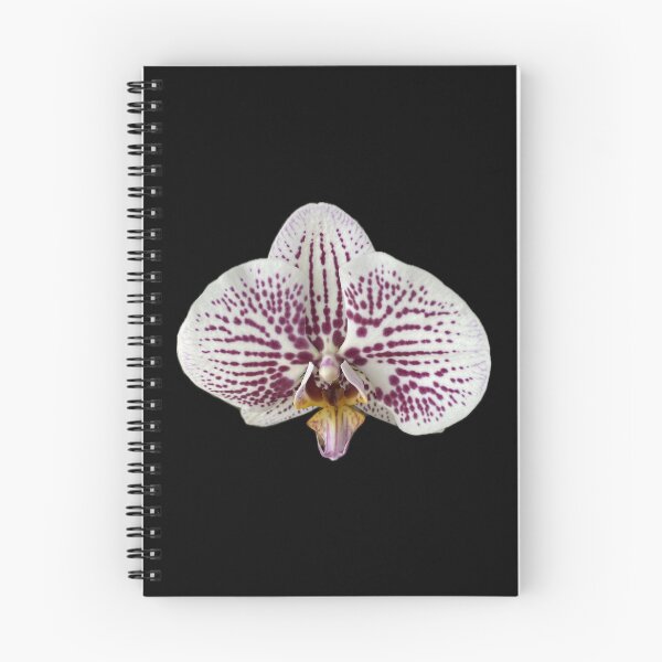 Item preview, Orchid designed and sold by SucculentLovers.