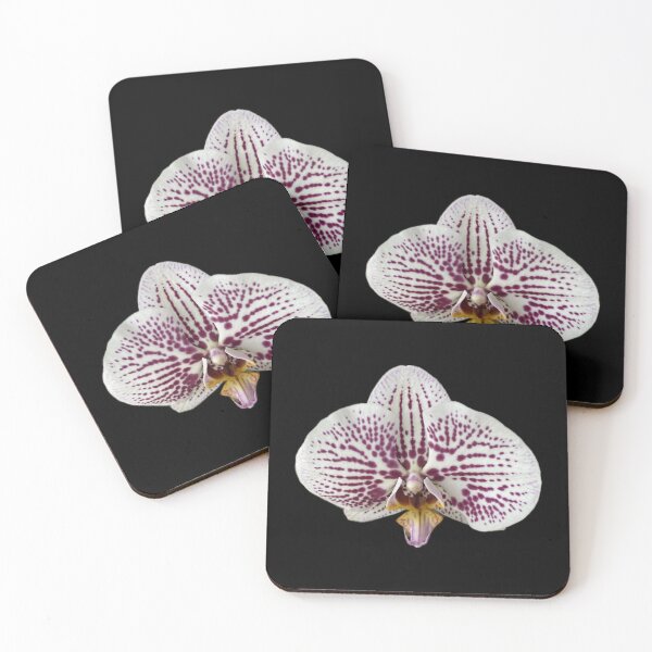 Item preview, Orchid designed and sold by SucculentLovers.