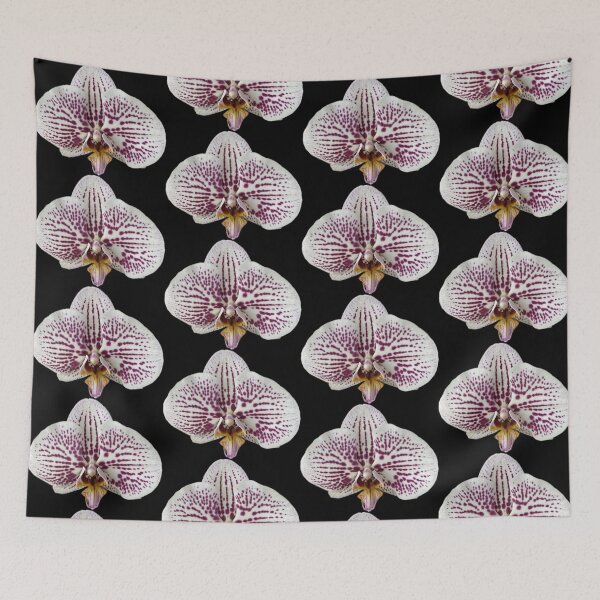 Item preview, Orchid designed and sold by SucculentLovers.