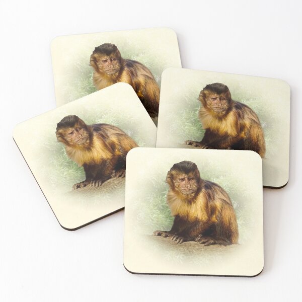 Item preview, Tufted capuchin designed and sold by Guardi71.