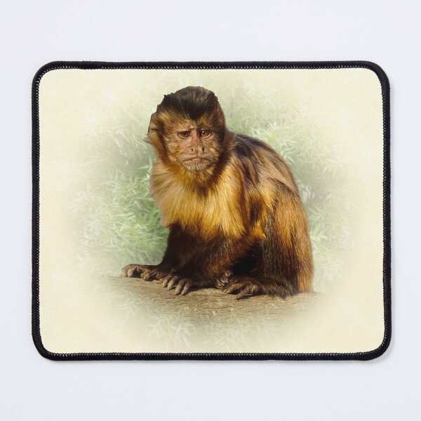 Item preview, Tufted capuchin designed and sold by Guardi71.