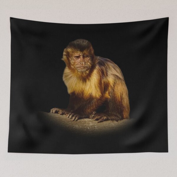 Item preview, Tufted capuchin designed and sold by Guardi71.