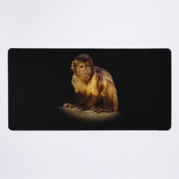 Item preview, Tufted capuchin designed and sold by Guardi71.