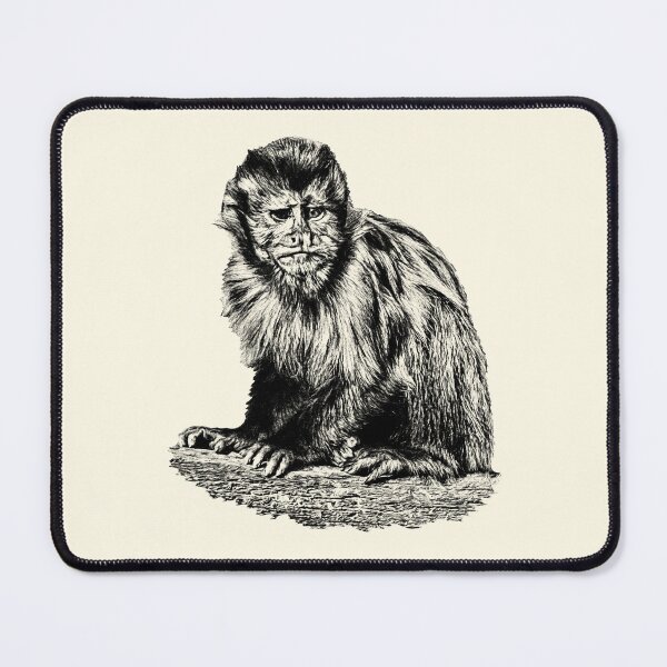 Item preview, Tufted capuchin designed and sold by Guardi71.