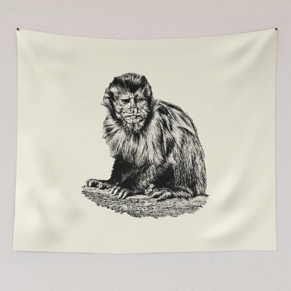 Item preview, Tufted capuchin designed and sold by Guardi71.