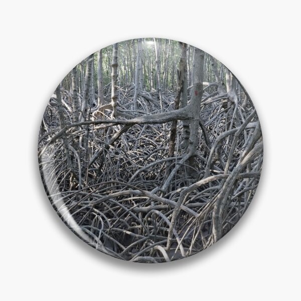 Item preview, The magic of roots and foliage in Pran Buri National Park	 designed and sold by franck380.