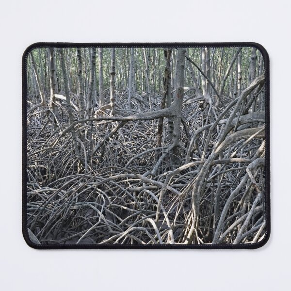 Item preview, The magic of roots and foliage in Pran Buri National Park	 designed and sold by franck380.
