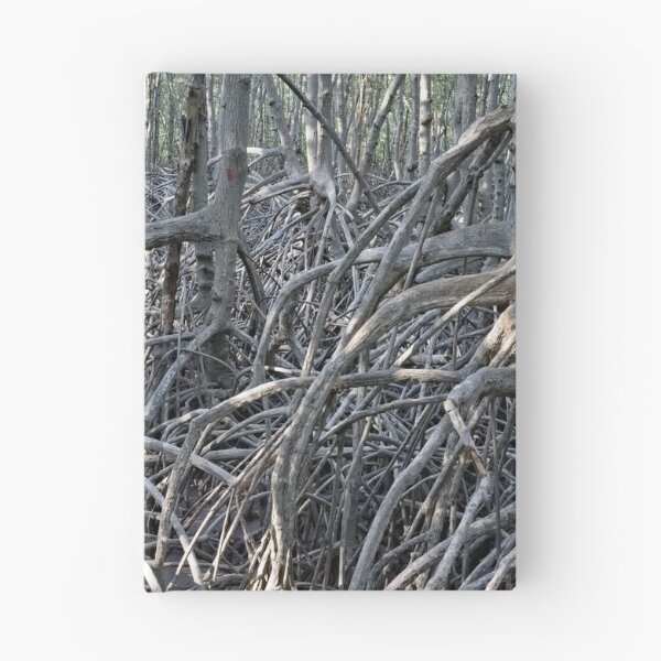 Item preview, The magic of roots and foliage in Pran Buri National Park	 designed and sold by franck380.