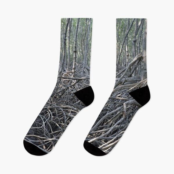Item preview, The magic of roots and foliage in Pran Buri National Park	 designed and sold by franck380.