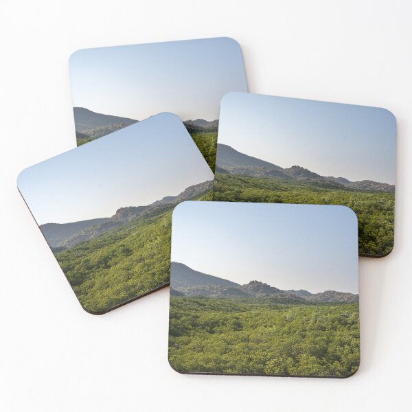 Item preview, The magic of roots and foliage in Pran Buri National Park	 designed and sold by franck380.