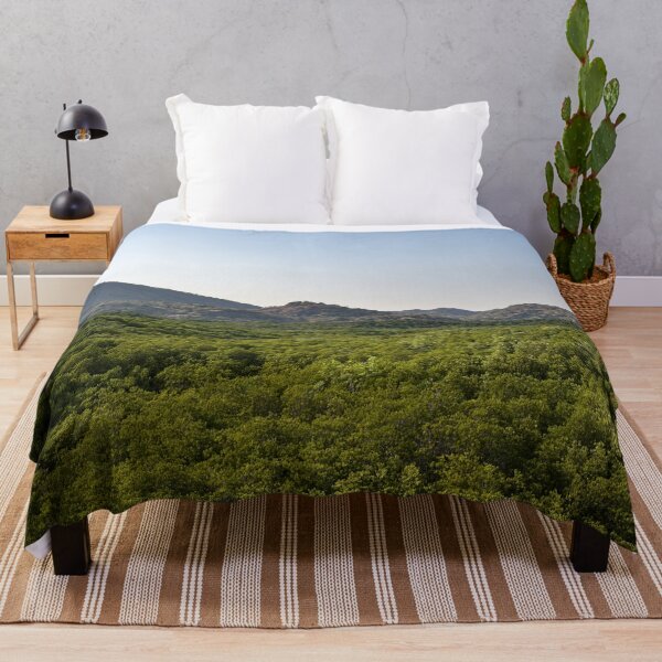 Item preview, The magic of roots and foliage in Pran Buri National Park	 designed and sold by franck380.