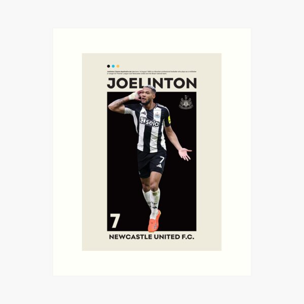 Aperçu de l'œuvre Joelinton créée et vendue par MertArtDesigns.