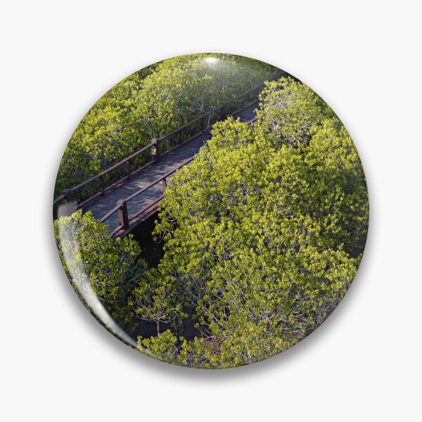 Item preview, The magic of roots and foliage in Pran Buri National Park	 designed and sold by franck380.