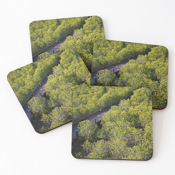 Item preview, The magic of roots and foliage in Pran Buri National Park	 designed and sold by franck380.