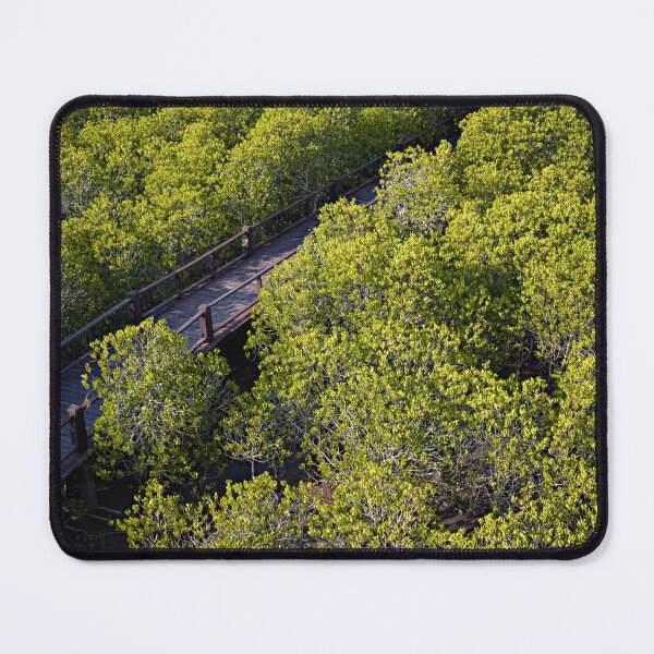 Item preview, The magic of roots and foliage in Pran Buri National Park	 designed and sold by franck380.